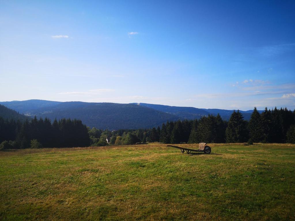 un banc dans un champ avec des montagnes en arrière-plan dans l'établissement La Ferme Du Levant, à Gérardmer