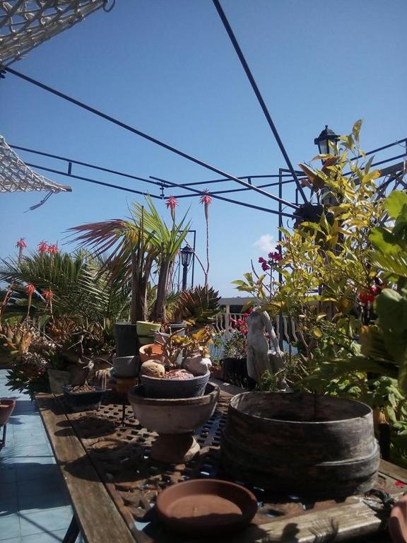 Zahrada ubytování Terrazza incanto