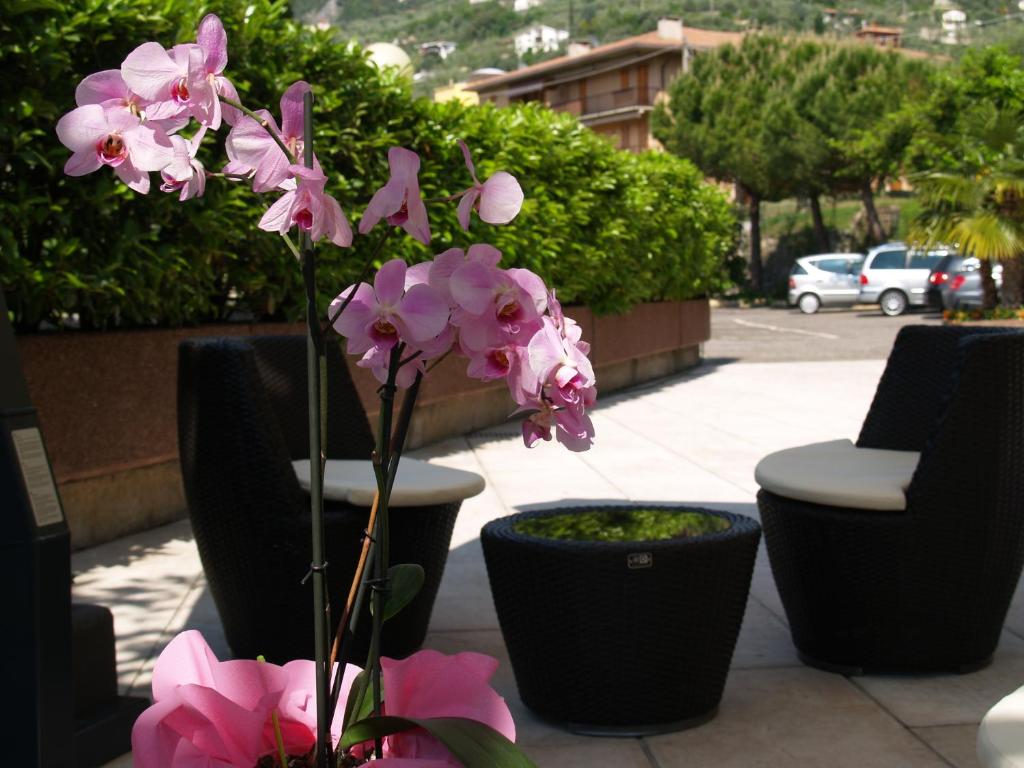 Zahrada ubytování Hotel Casa Serena