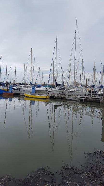 a group of boats docked in a marina at Gemütliche Wohnung 4 mit Balkon zu Fuß zum Strand & Hafen Bensersiel in Bensersiel