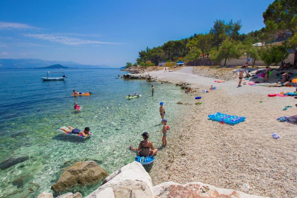 Príroda v okolí apartmánu