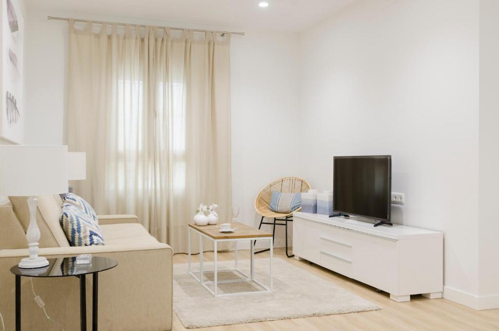 Televízia a/alebo spoločenská miestnosť v ubytovaní Lujosa vivienda en plena Judería