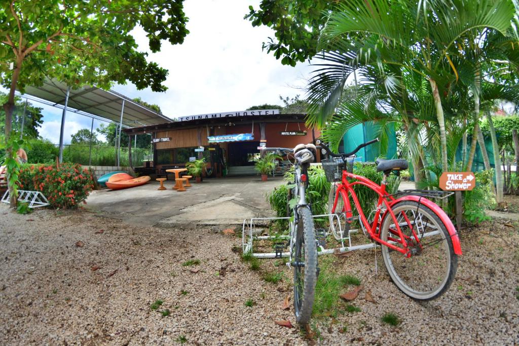 Zahrada ubytování Tsunami Hostel