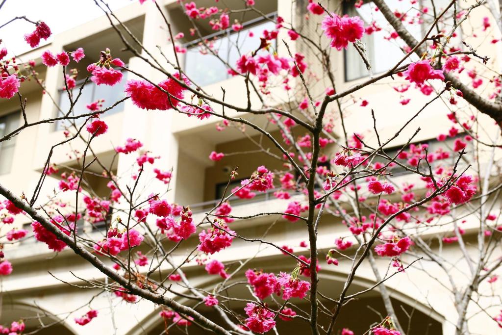 a tree with pink flowers in front of a building at Tai-Yi Red Maple Resort in Puli