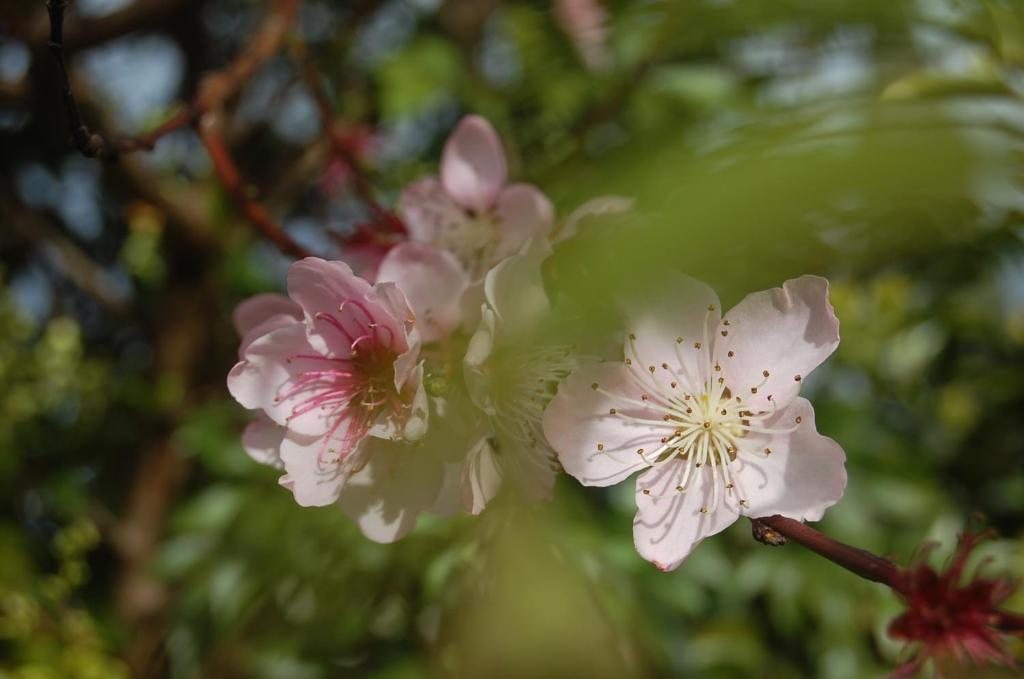 Gateway Motor Lodge - Wanganui