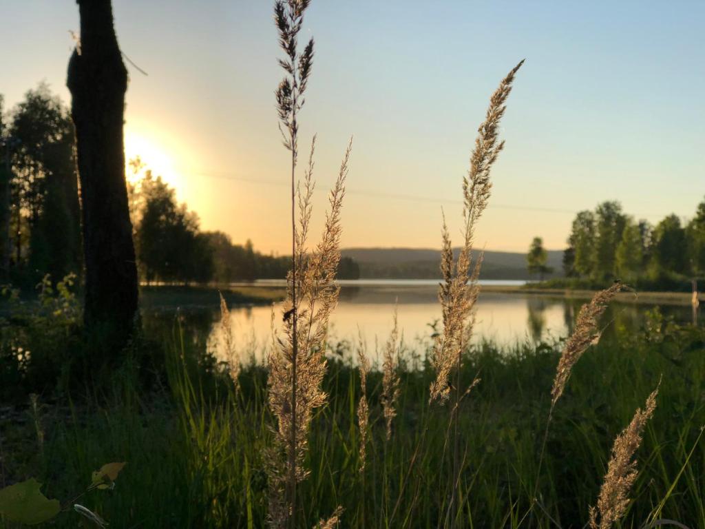 Příroda nedaleko apartmánu