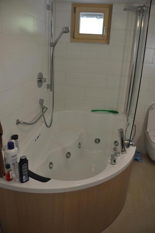 Koupelna v ubytování Attika Wohnung 7546 Ardez