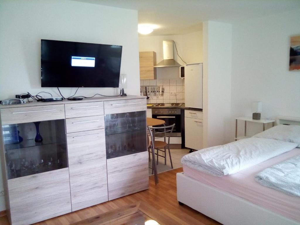 TV a/nebo společenská místnost v ubytování Appartment Böhlen
