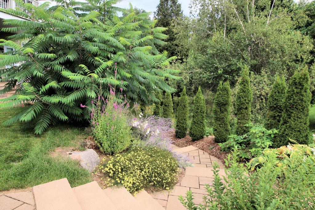 Zahrada ubytování Le 204 Champlain Bromont