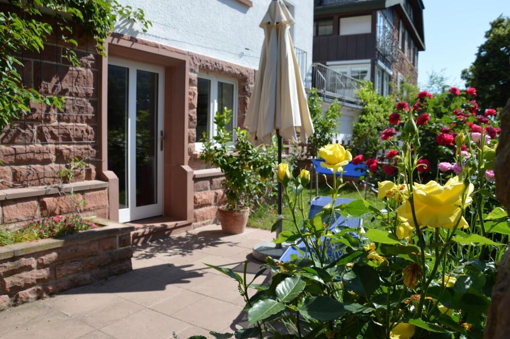 Panorama-Blick Miltenberg, 3 Pers., zentr., am Main, Terrasse, Bootverleih, P - Apartment - Ground Floor