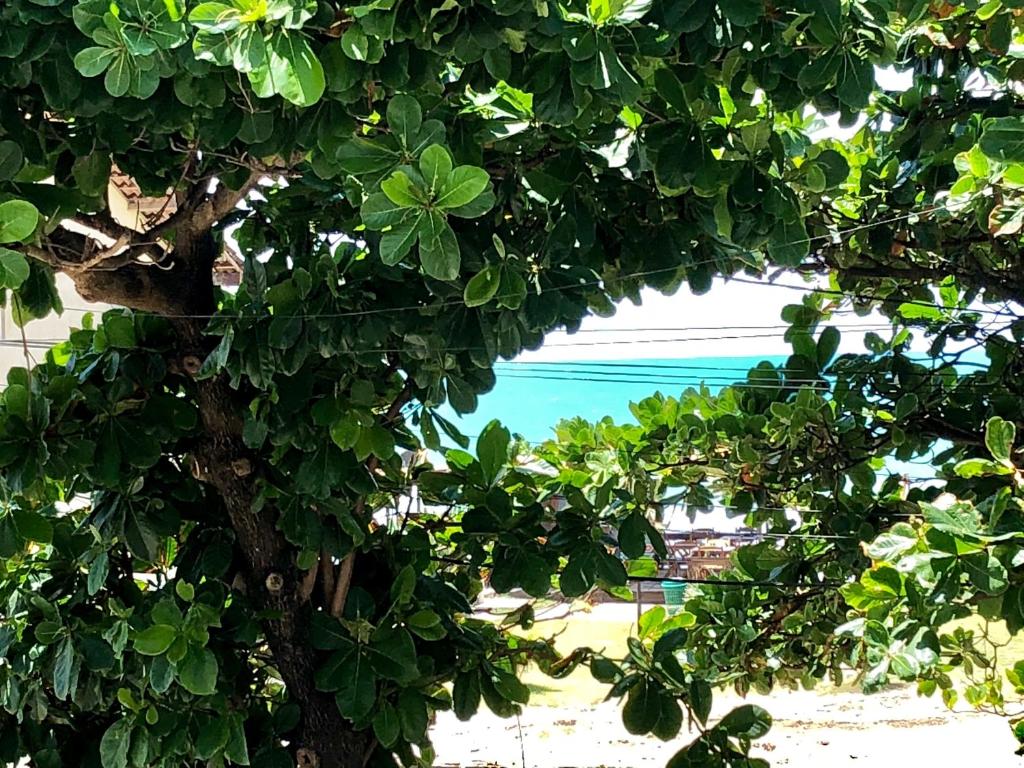 Casa Laranja Home Stay