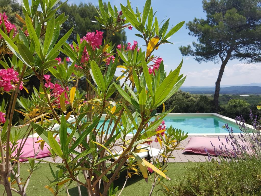un jardín con piscina y flores en La Maison de Charlie, en Vaugines