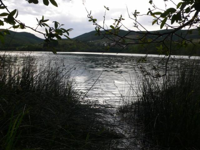 Paisaje cerca of this country house