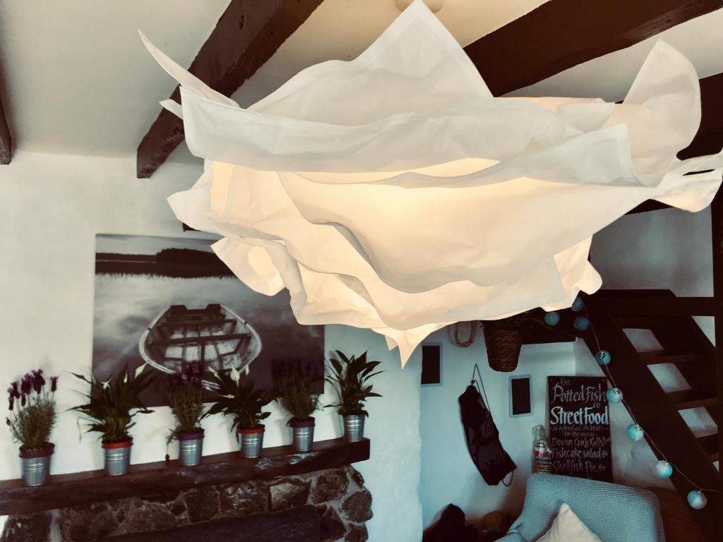 una luce bianca appesa a un soffitto con piante di Cobb Cottage a Bovey Tracey
