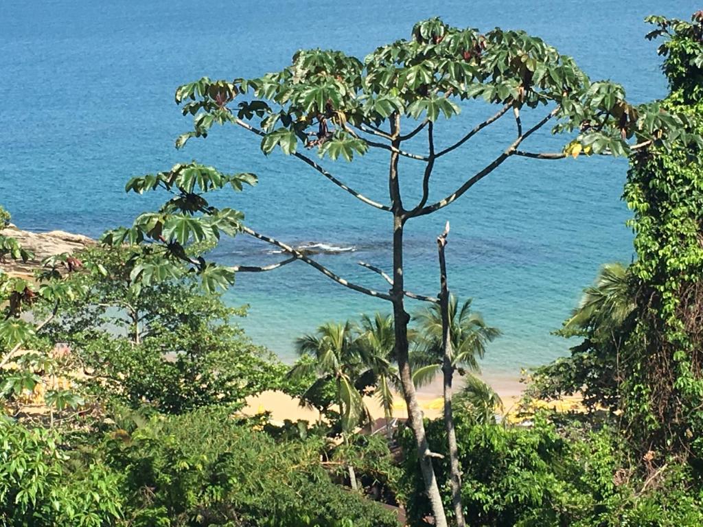  Propriedade a 80 metros da praia do Curral