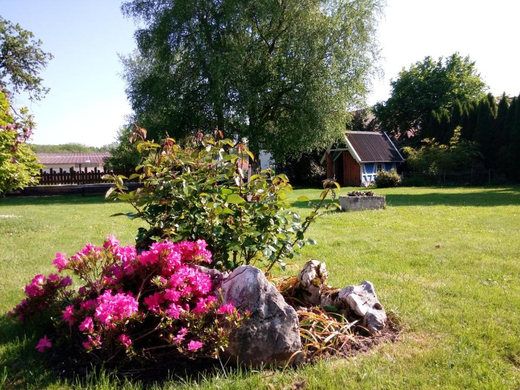 Zahrada ubytování Maison Curiale