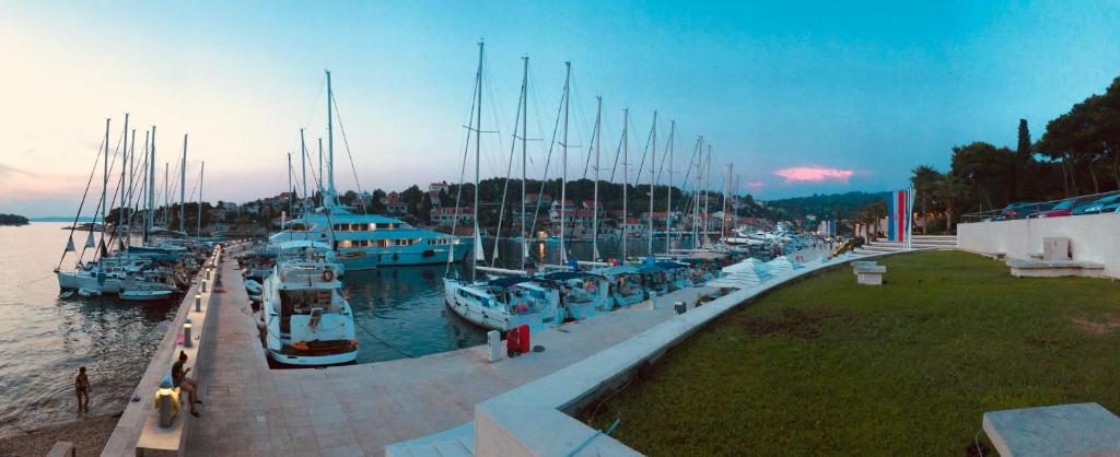 Príroda v okolí apartmánu