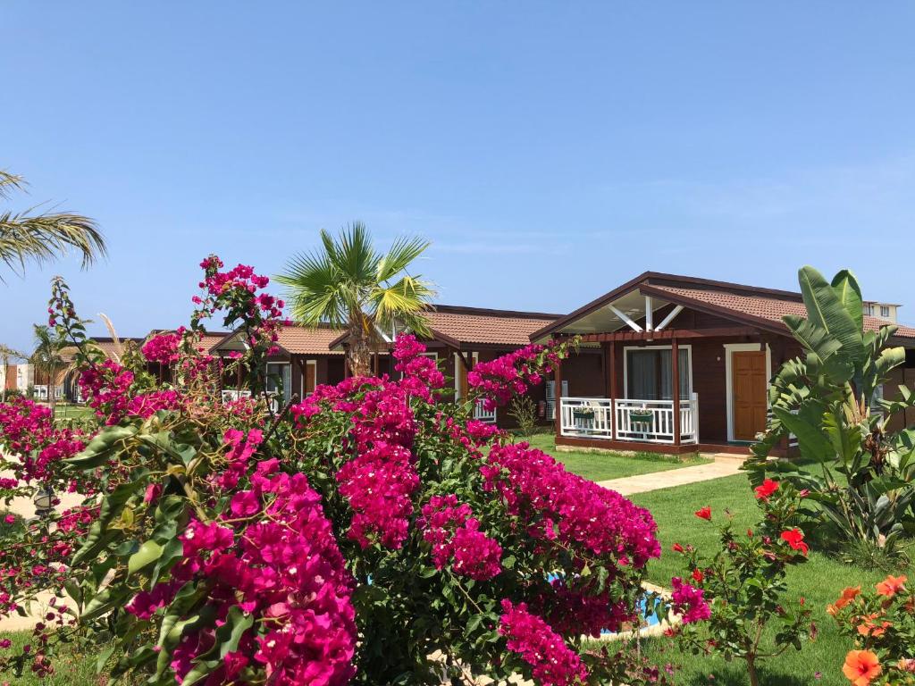ein Haus mit rosa Blumen davor in der Unterkunft Sedir Park - Beach Bungalow in Kargıcak