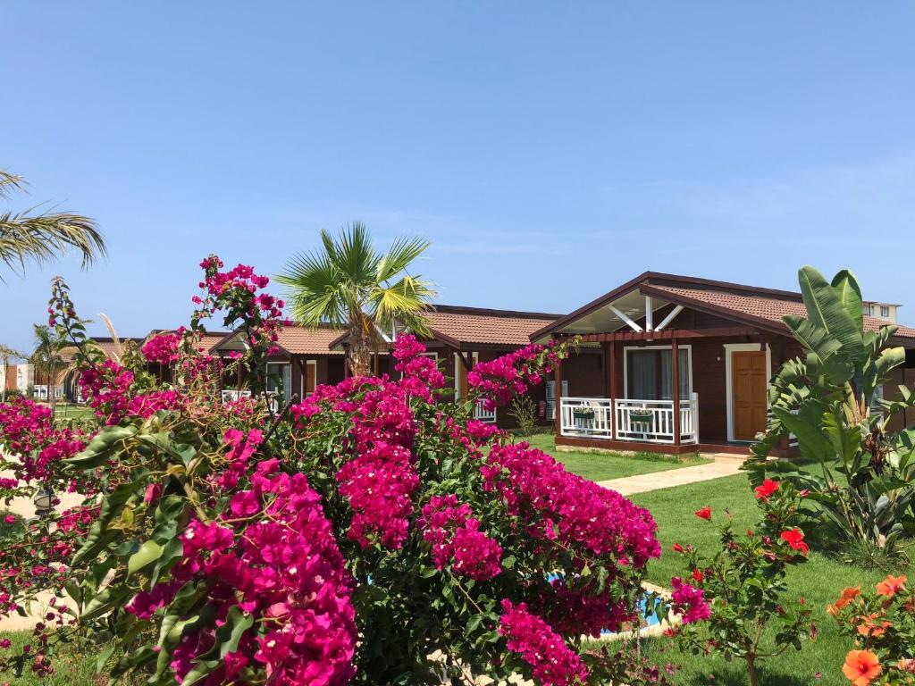 Fotografie z fotogalerie ubytování Sedir Park - Beach Bungalow v destinaci Kargicak