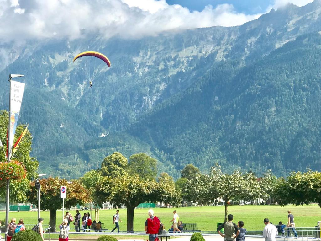 grupa ludzi w parku puszczających latawce w obiekcie Downtown Apartment 9 w mieście Interlaken