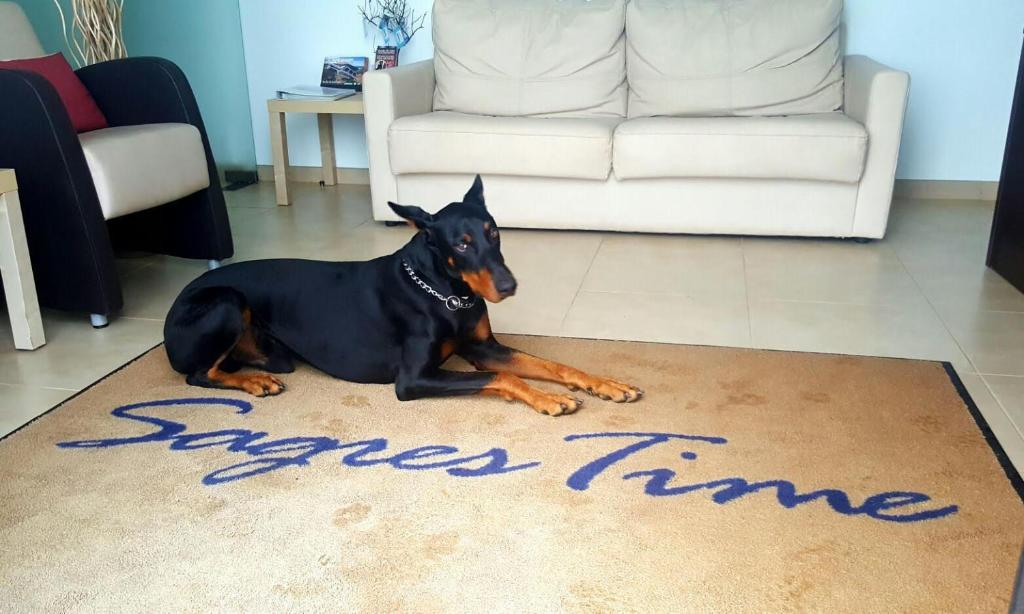 a dog laying on a rug with the word space time at Sagres Time Apartamentos in Sagres