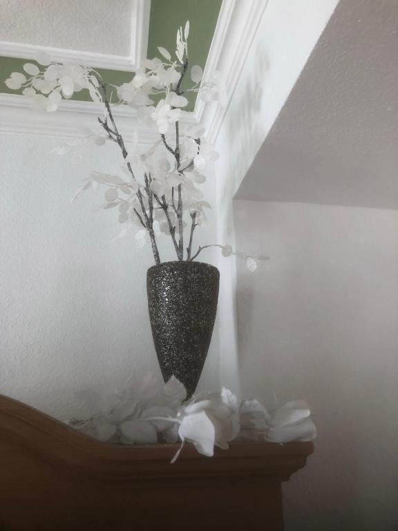 Fotografie z fotogalerie ubytování Hotel Sechzehn v destinaci Leverkusen