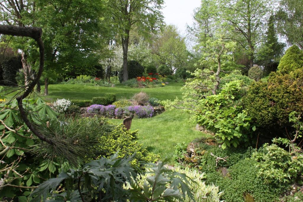 un jardin avec beaucoup de plantes et de fleurs dans l'établissement Chambres d'hôtes de la Fontaine, à Beauchery