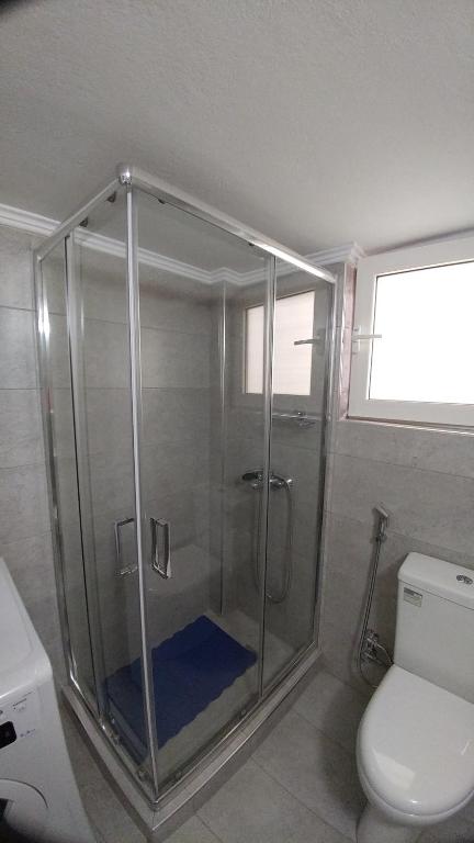 łazienka z kabiną prysznicową i toaletą w obiekcie Proteus Apartment w Atenach