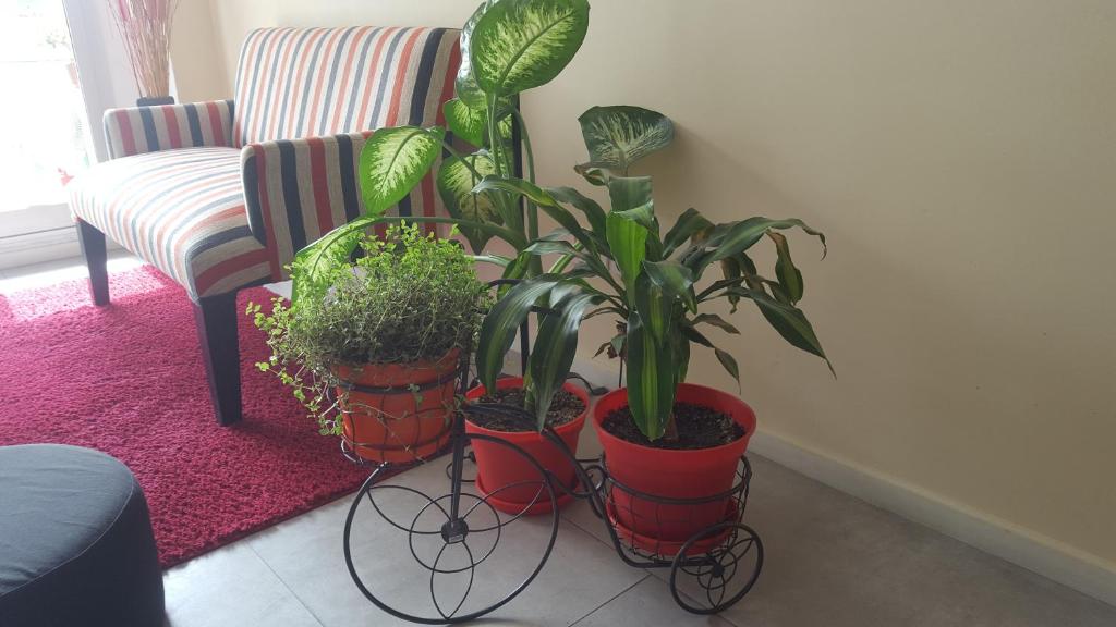 Apartamento Palermo Soho Tango & WiFi - Apartamento Con Balcón