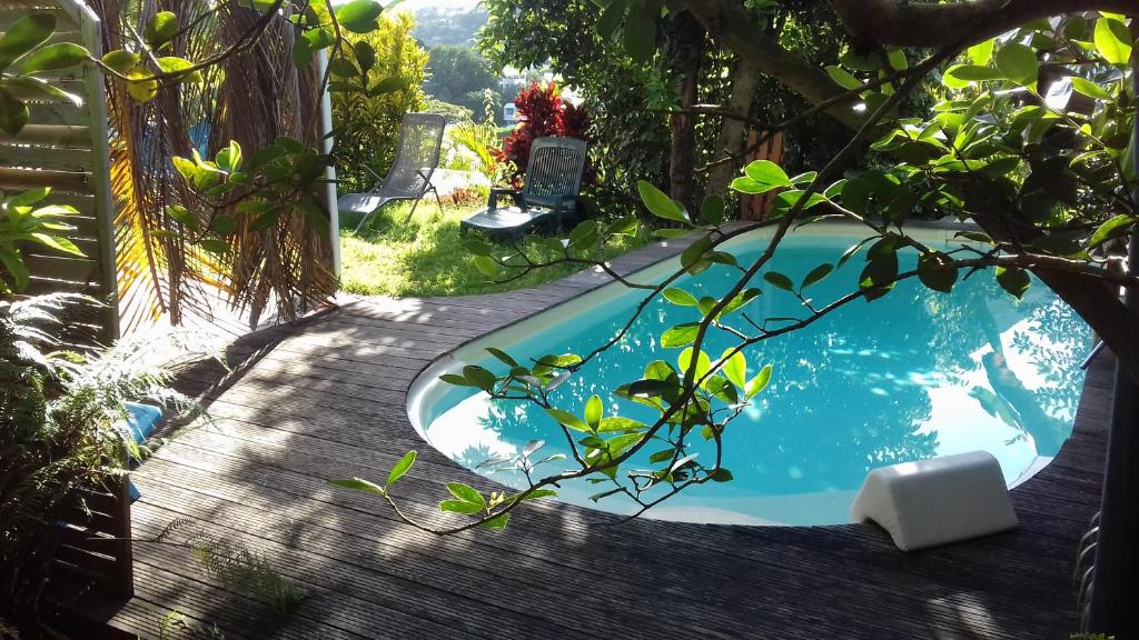 une piscine au milieu d'un jardin dans l'établissement T2 KAY ZANNDOLI, à La Trinité