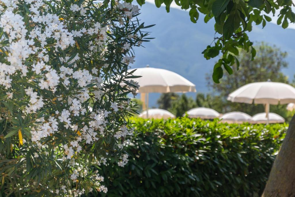 Ogród w obiekcie Park Hotel Zanzanù