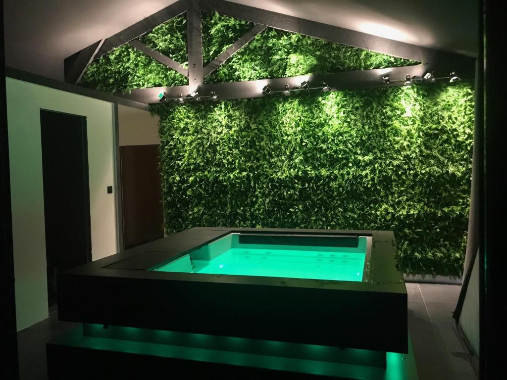 een zwembad voor een groene muur bij Maison spa piscine d'Alessia in LʼIsle-sur-la-Sorgue