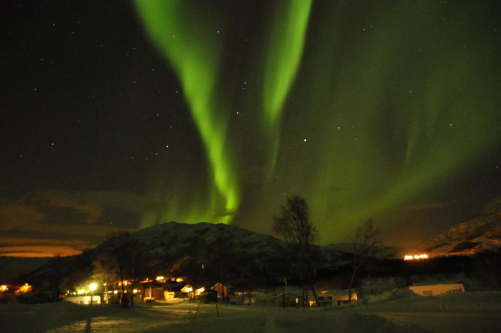 obraz zorzy tańczącej na niebie w obiekcie Gullesfjord Camping w mieście Gullesfjord