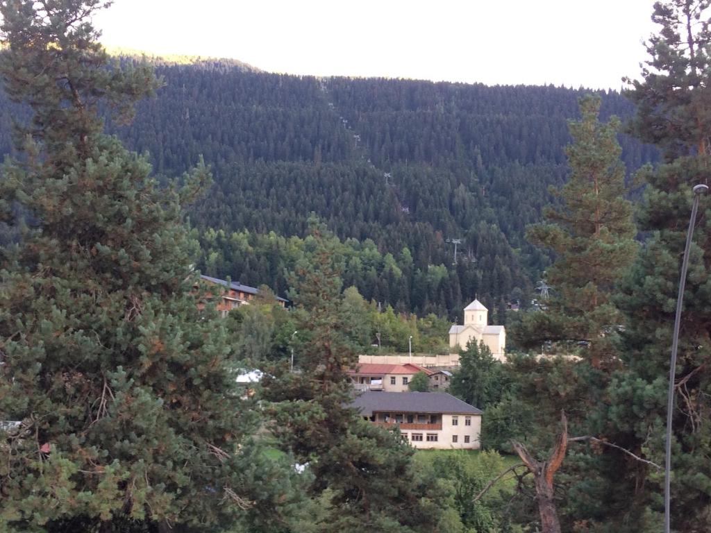 una piccola casa in mezzo a una foresta di Guest house lela a Mestia