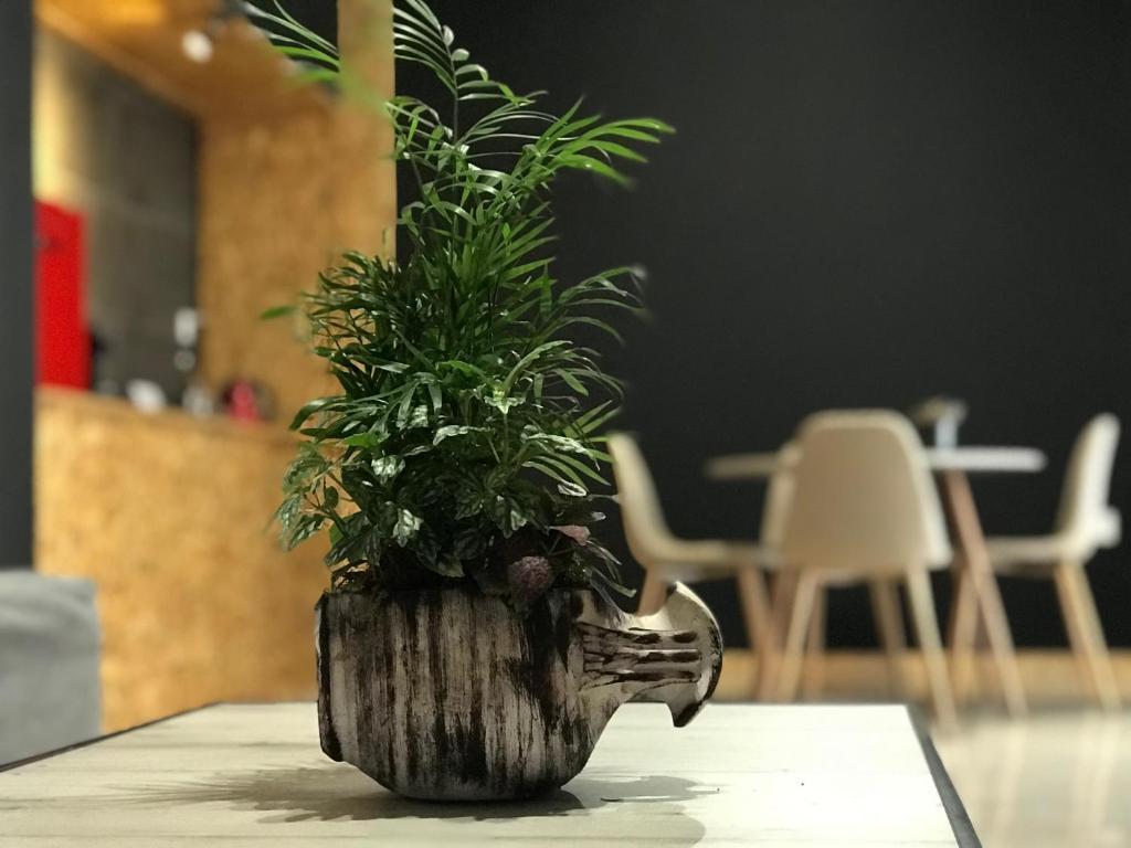 Fotografie z fotogalerie ubytování Piraeus Premium Suites v destinaci Piraeus