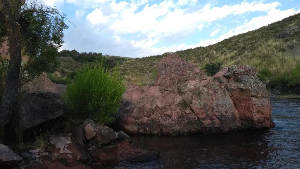 Cabañas Boca del Chimehuin