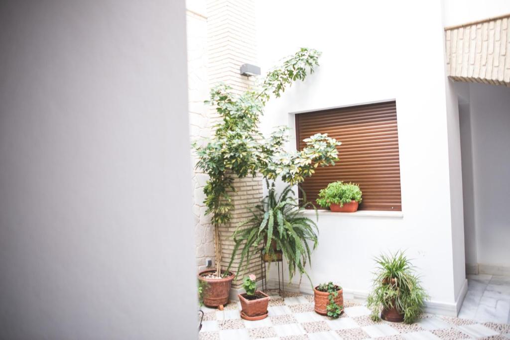 Fotografie z fotogalerie ubytování Posada de Momo v destinaci Benamejí