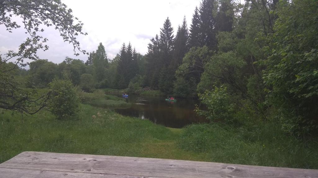 Příroda nedaleko apartmánu