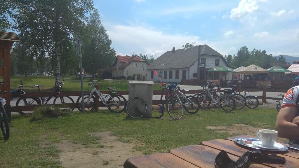 Jízda na kole v ubytování Apt.Jana ,apt.Terezka nebo okolí