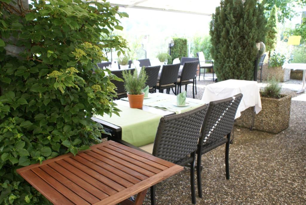 Zahrada ubytování Hotel Storchen