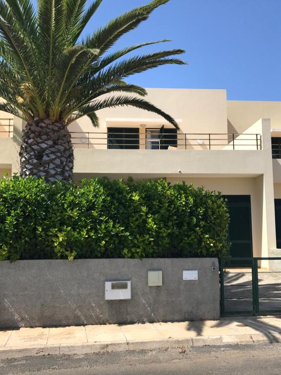 una palmera frente a un edificio en Duplex Ocean View en Porto Santo