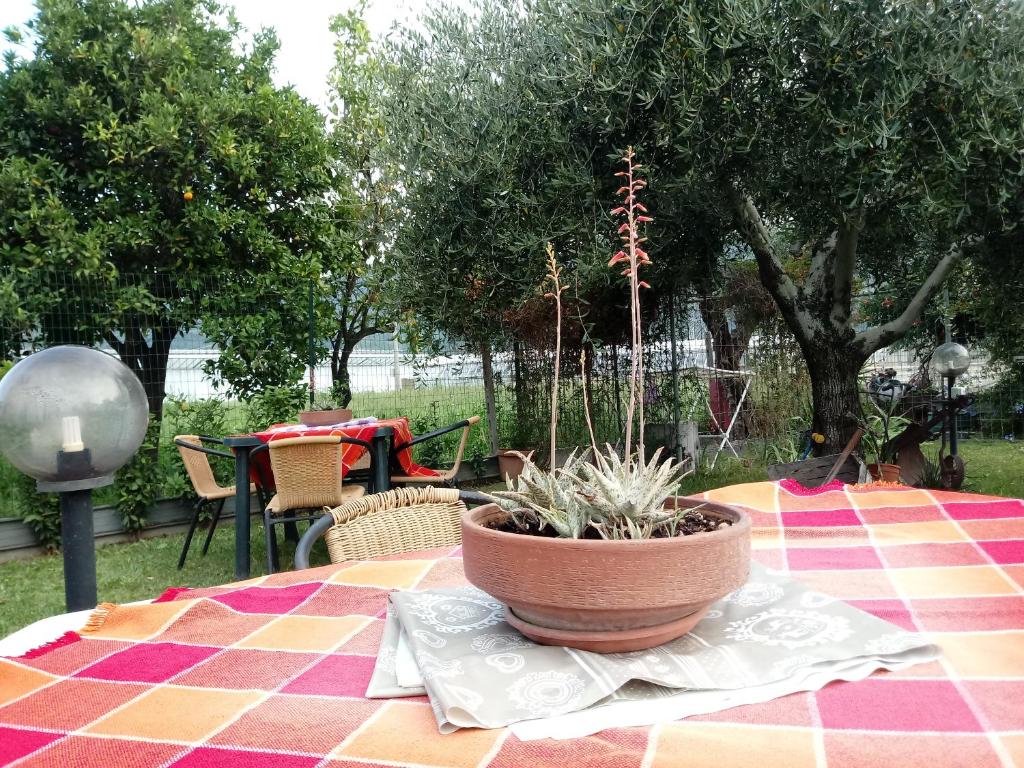 Ogród w obiekcie Agriturismo Alla Mal Parata