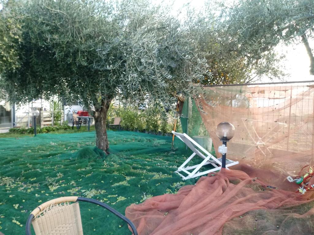 Ogród w obiekcie Agriturismo Alla Mal Parata