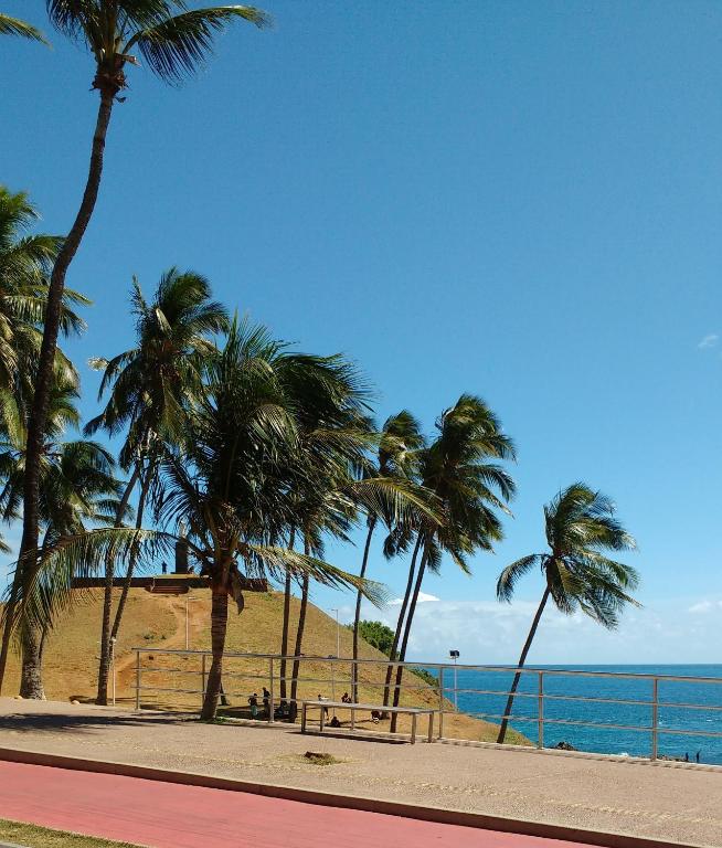  Apartamento Farol da Barra Salvador