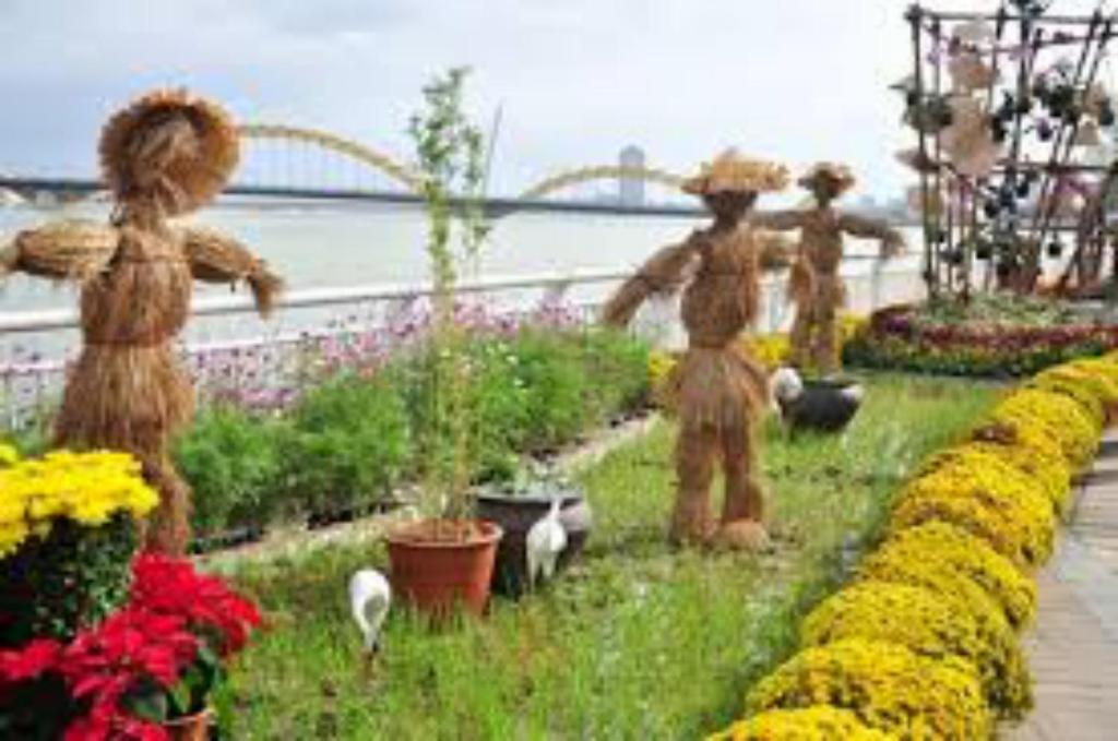 Vườn quanh KaKa Hotel Han River