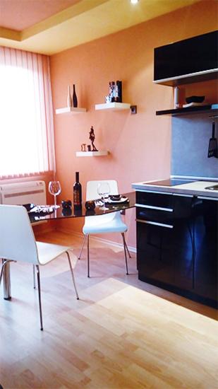 Kuchyň nebo kuchyňský kout v ubytování Aya's Apartment