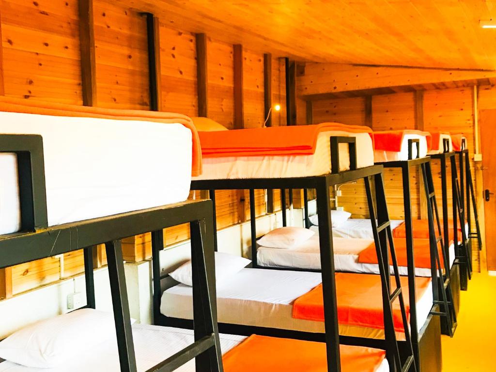 Palanda nebo palandy na pokoji v ubytování Ella City Reach Hostel