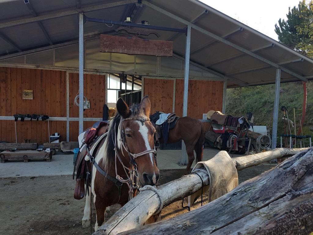 Kép Agriturismo Piccola Raieda szállásáról Sasso Marconiban a galériában