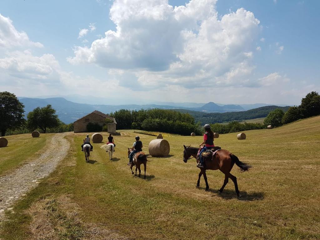 Kép Agriturismo Piccola Raieda szállásáról Sasso Marconiban a galériában