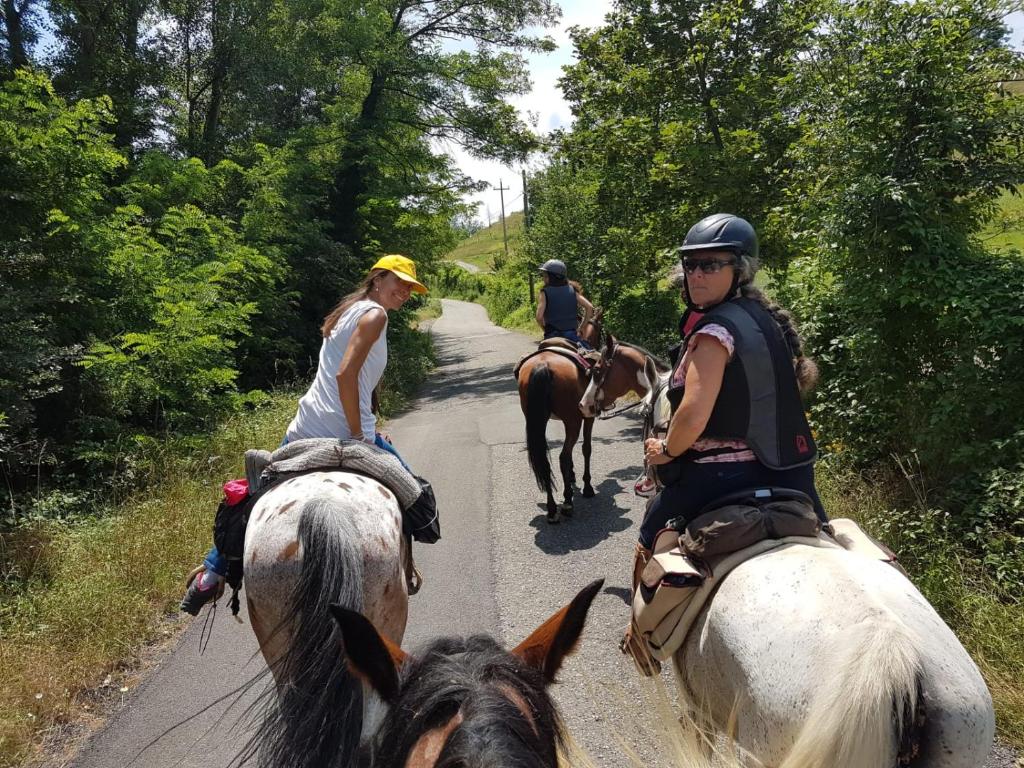 Kép Agriturismo Piccola Raieda szállásáról Sasso Marconiban a galériában